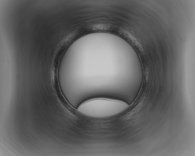 X0000113750637200909231132