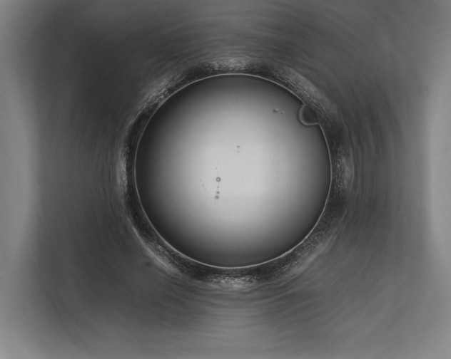 X0000113750638200909231132