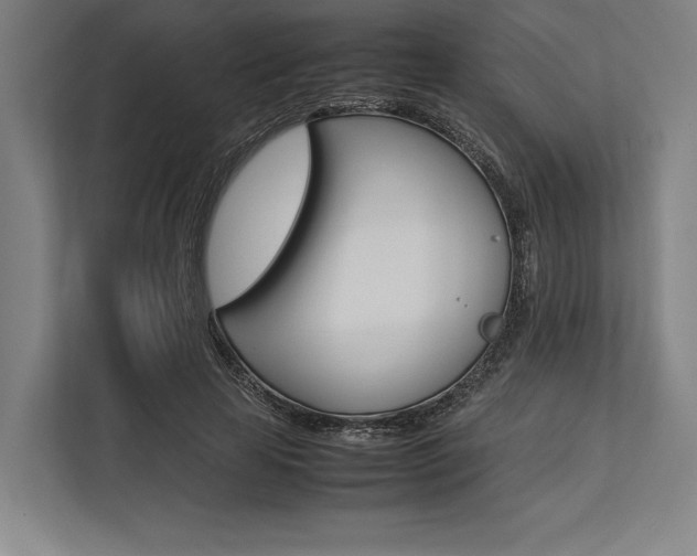 X0000113750641200909231132