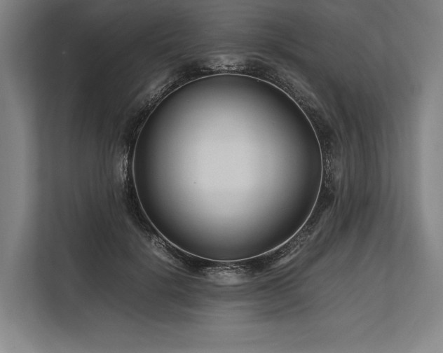 X0000113750652200909231132