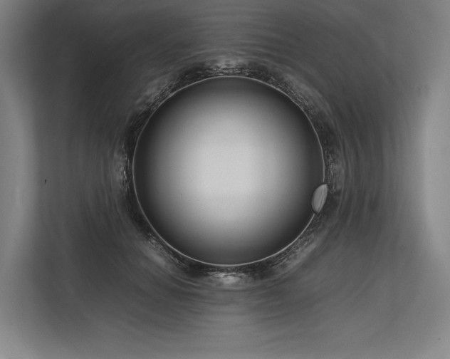 X0000113750654200909231133