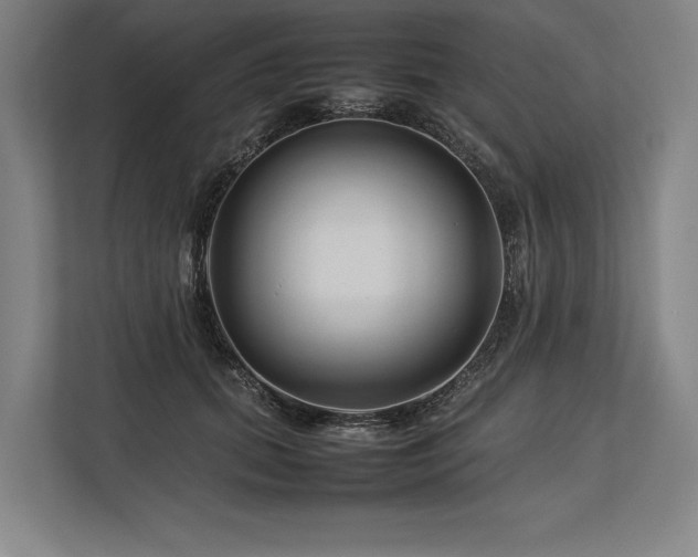 X0000113750655200909231133