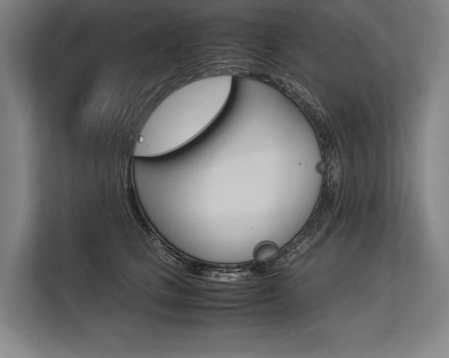X0000113750661200909231133