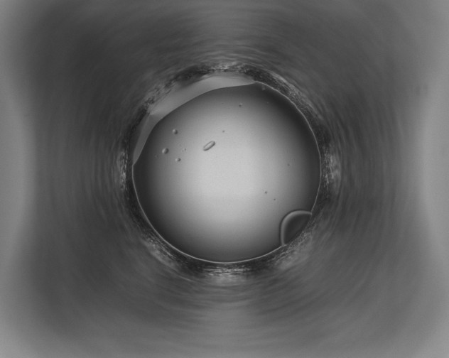 X0000113750664200909231133