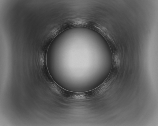 X0000113750668200909231133