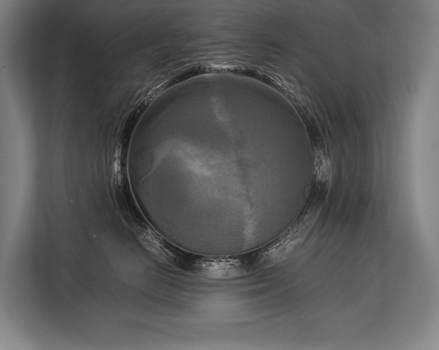 X0000113750670200909231133