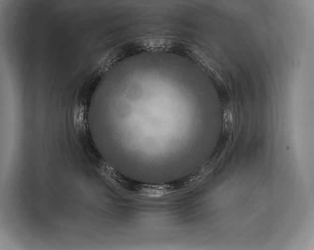 X0000113750671200909231133