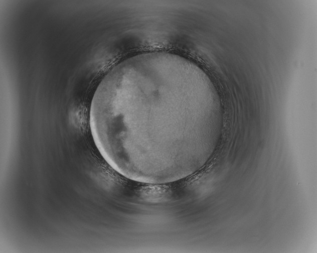 X0000113750672200909231133