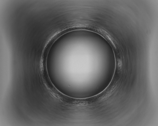 X0000113750676200909231132