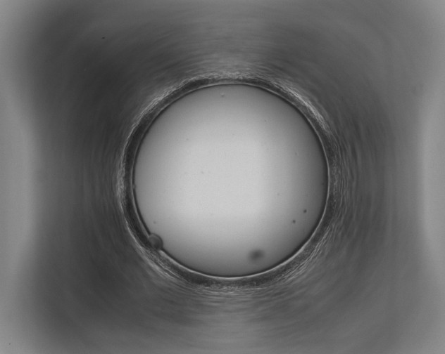 X0000113750677200909231132