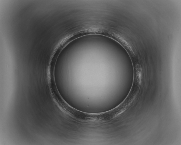 X0000113750678200909231132