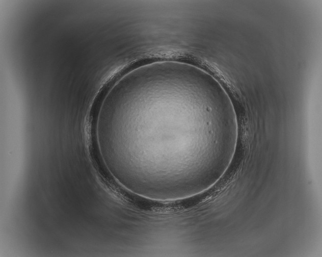 X0000113750679200909231132