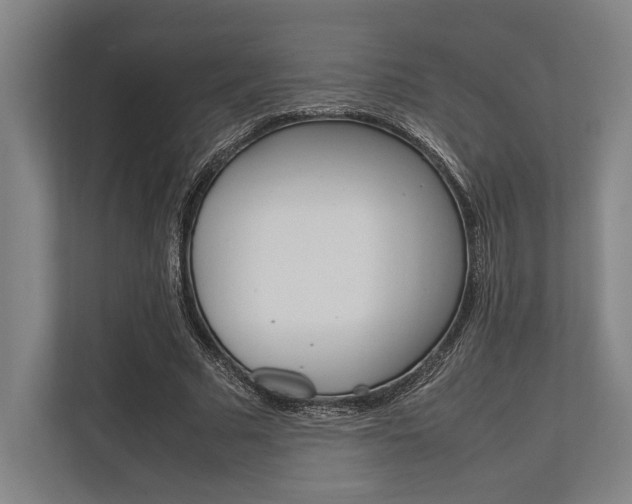 X0000113750681200909231132