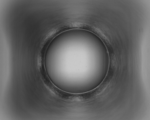 X0000113750683200909231132