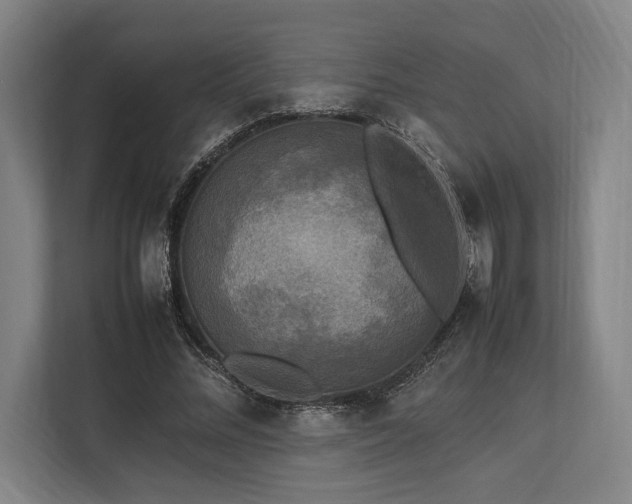 X0000113750684200909231132
