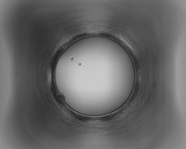 X0000113750685200909231132