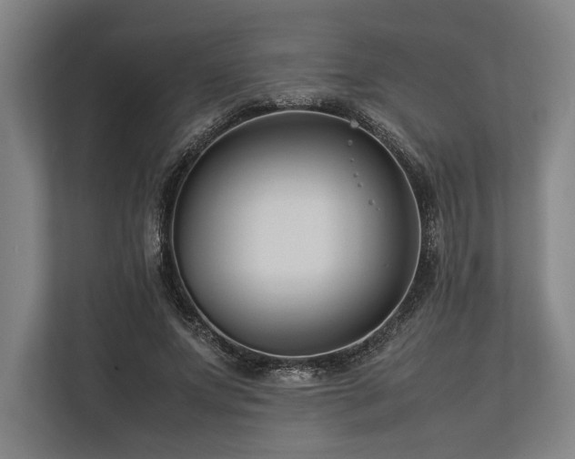 X0000113750687200909231132