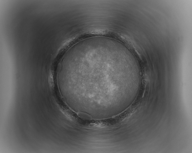 X0000113750688200909231132