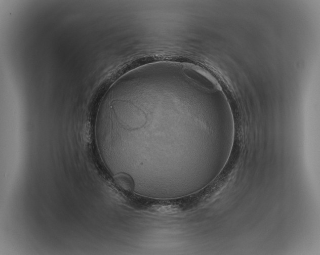 X0000113750689200909231132