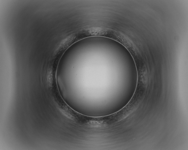 X0000113750690200909231132