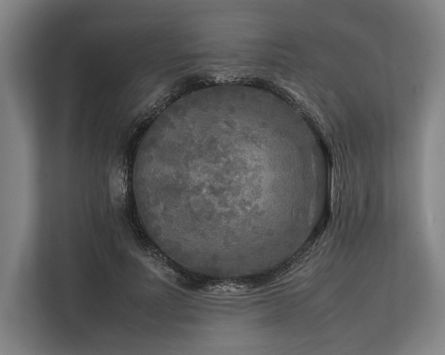 X0000113750691200909231132