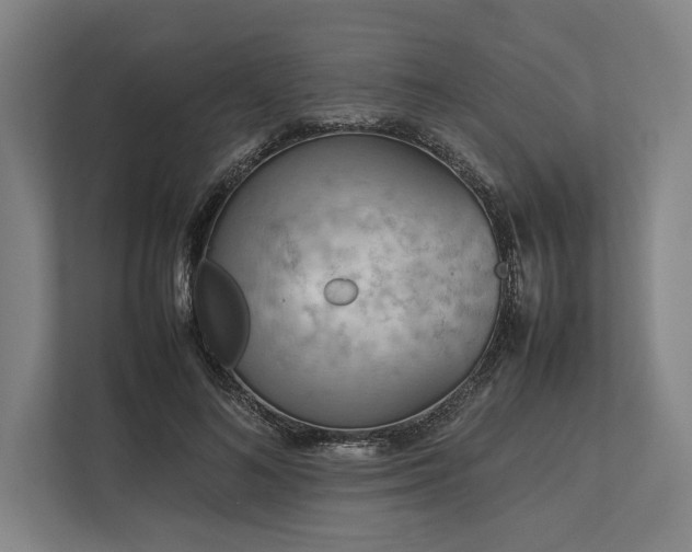 X0000113750692200909231132