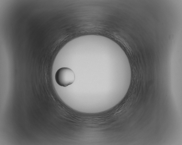 X0000113750693200909231132