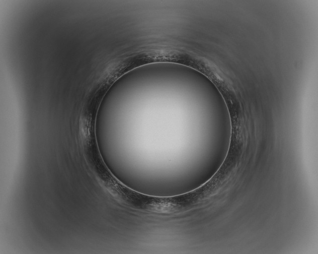 X0000113750695200909231132