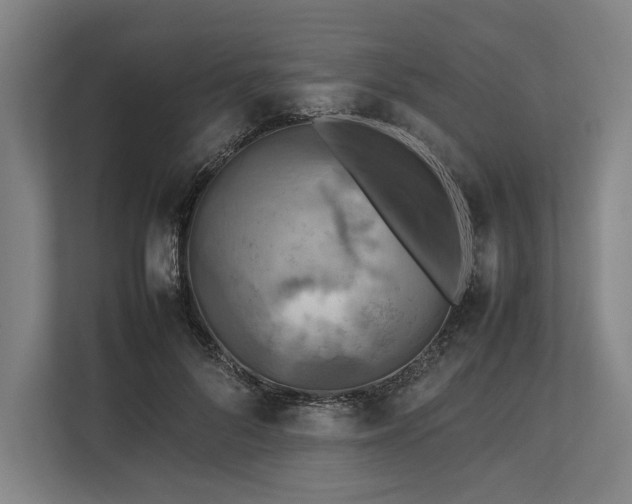 X0000113750696200909231132