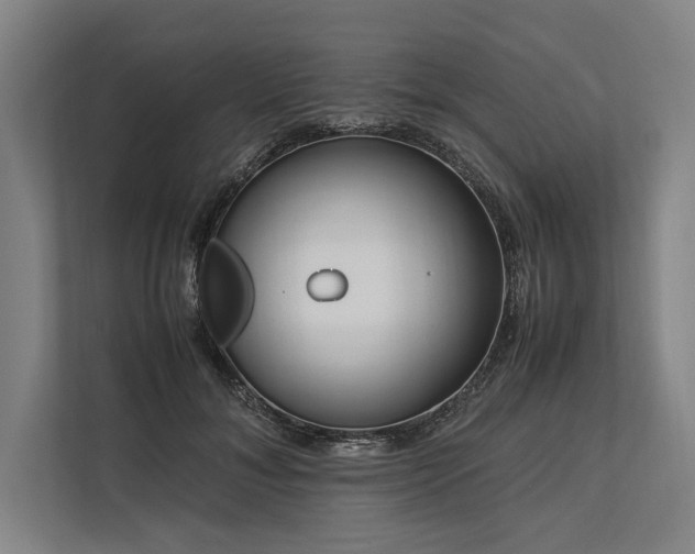 X0000113750700200909231132