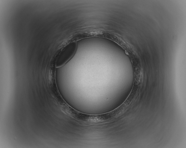 X0000113750704200909231132