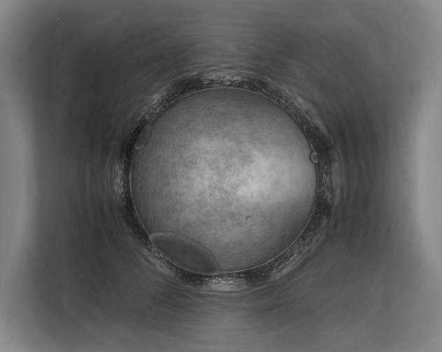 X0000113750708200909231132