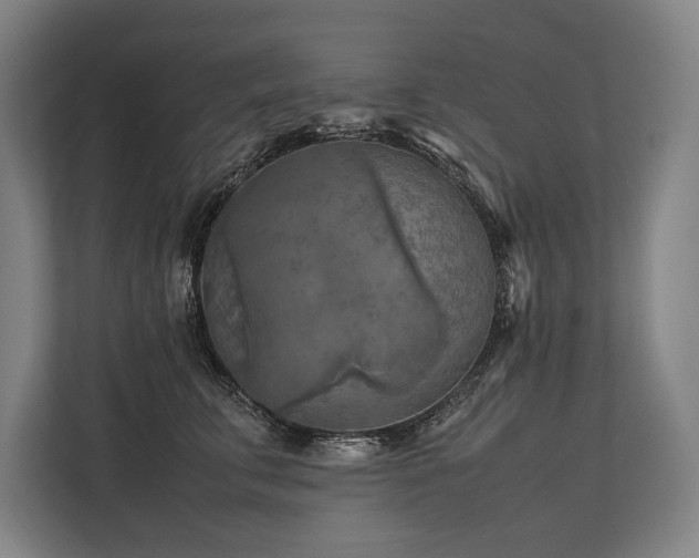X0000113750711200909231132