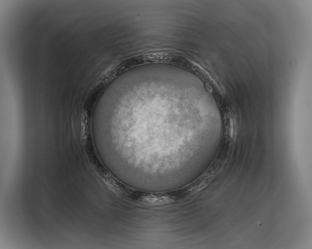 X0000113750712200909231132