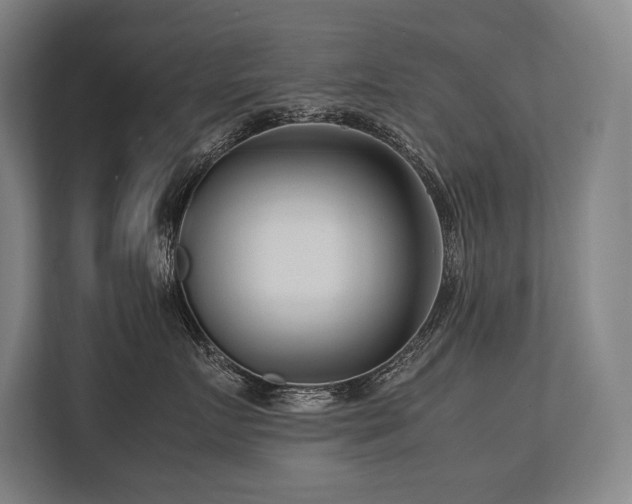 X0000113750719200909231132