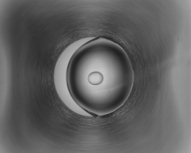 X0000113750720200909231132