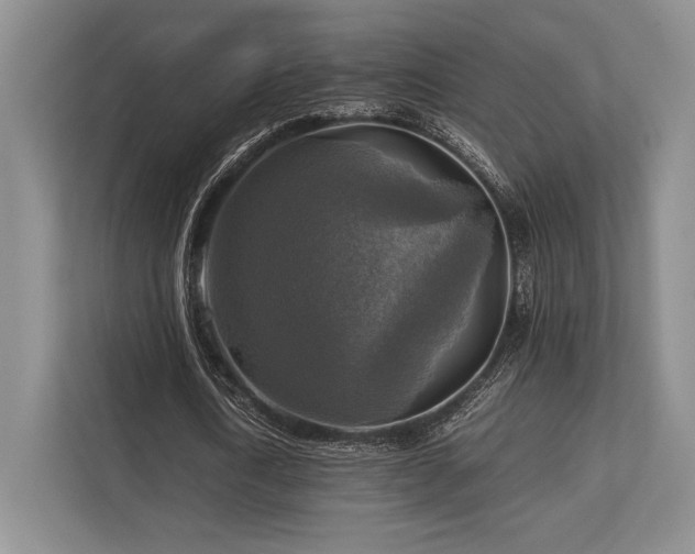 X0000113750722200909231131