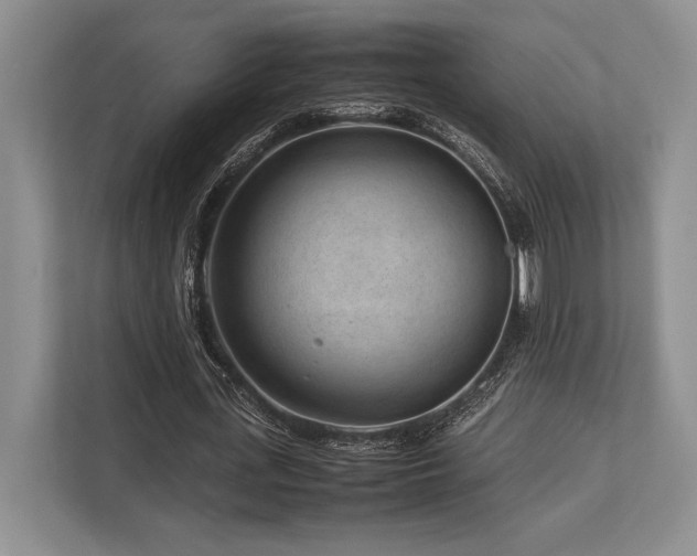 X0000113750723200909231131