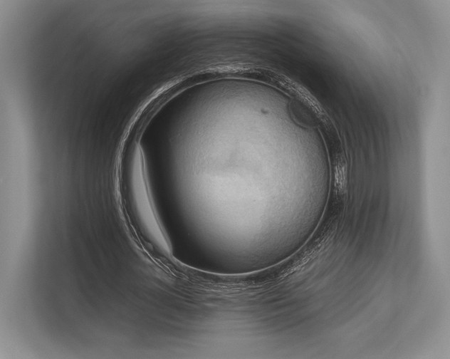 X0000113750724200909231131