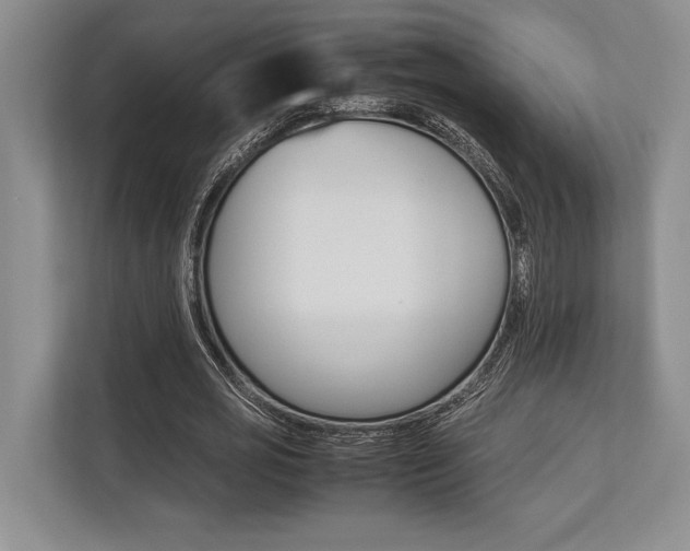 X0000113750725200909231131