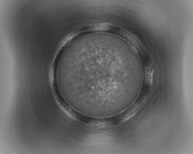 X0000113750726200909231131