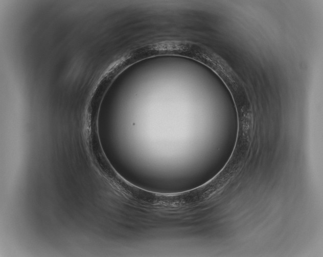 X0000113750727200909231131