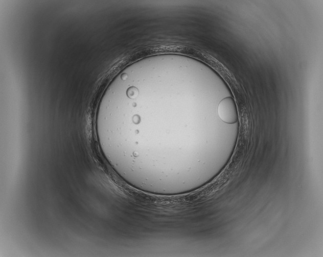 X0000113750729200909231131