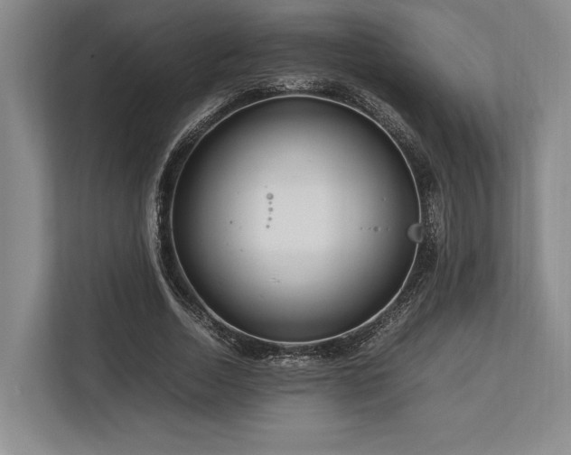 X0000113750730200909231131