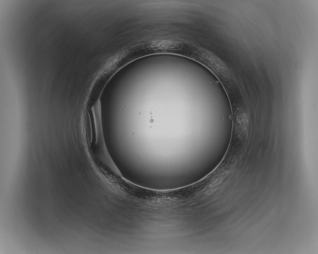 X0000113750734200909231131