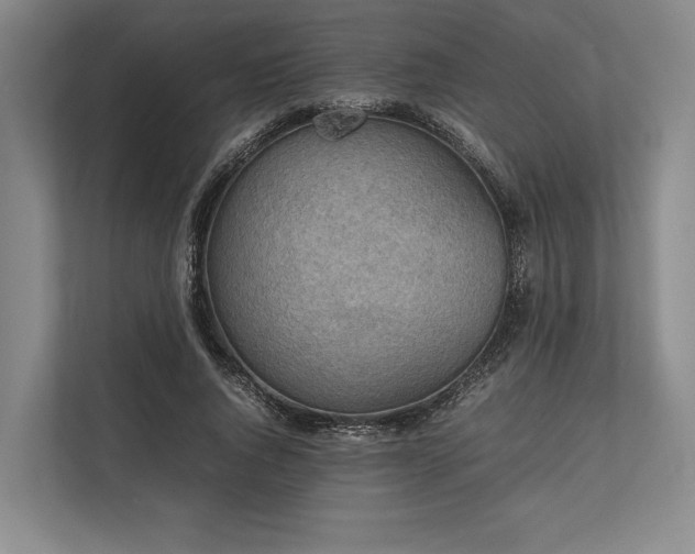 X0000113750736200909231131