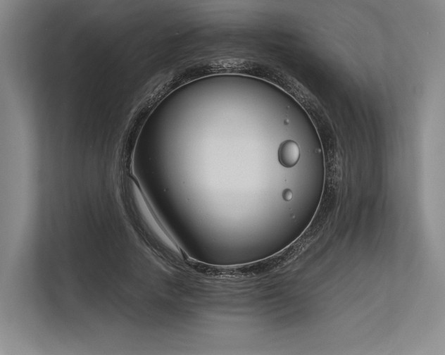 X0000113750738200909231131