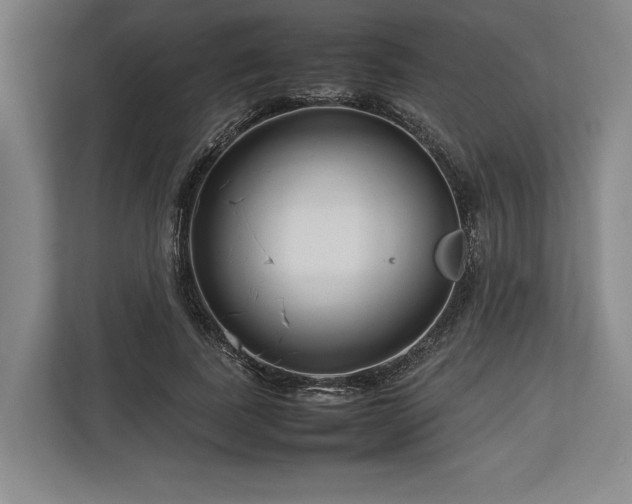 X0000113750739200909231131