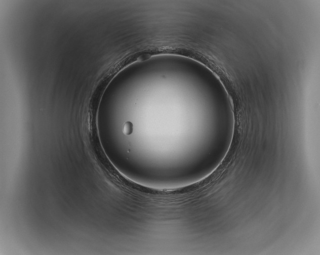 X0000113750740200909231131