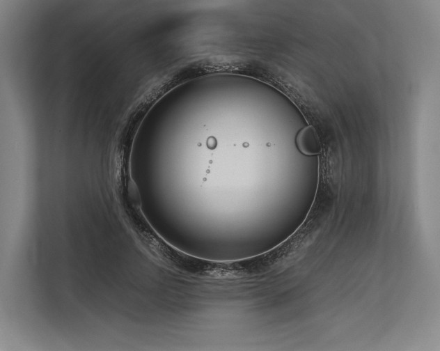 X0000113750742200909231131